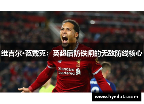 维吉尔·范戴克:英超后防铁闸的无敌防线核心 维吉尔·范戴克:英超后防铁闸的无敌防线核心