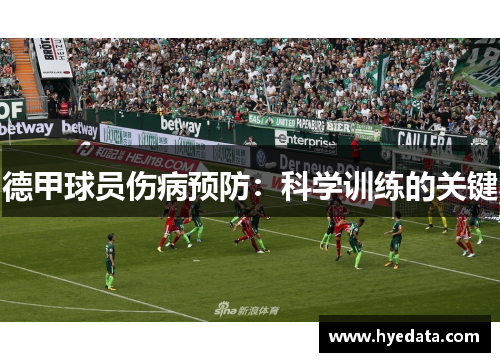 德甲球员伤病预防:科学训练的关键 德甲球员伤病预防:科学训练的关键